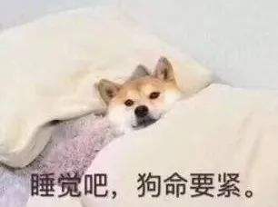 熬夜的危害:熬夜的这些坏处你不得不知